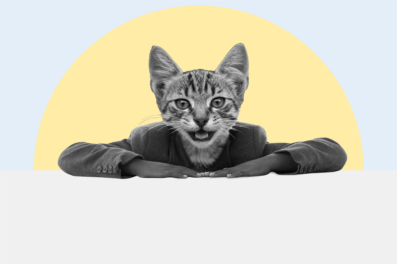 LGT Wealth Management preview image